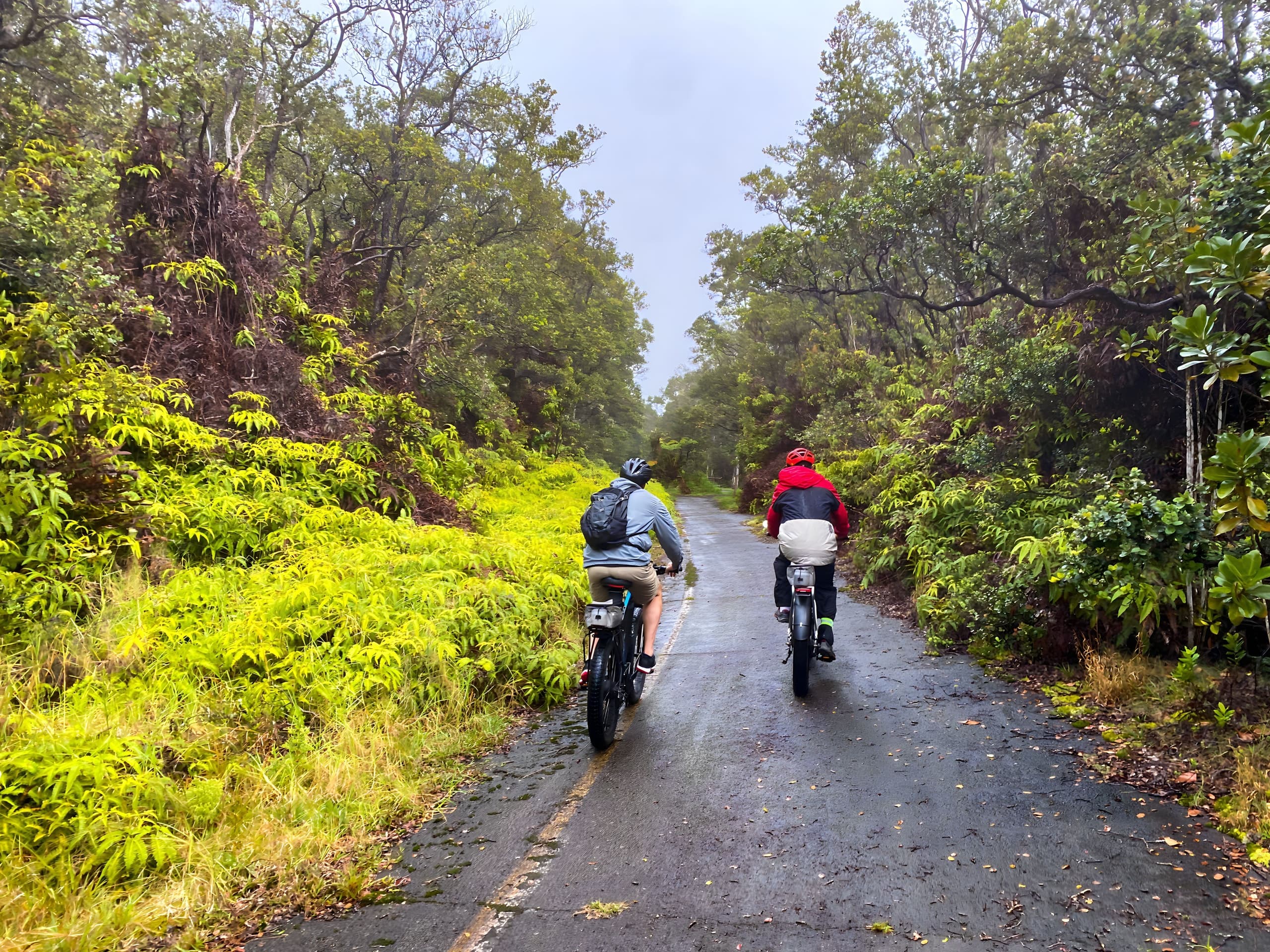 Mountain trail e-bike riders pedaling through lush rainforest