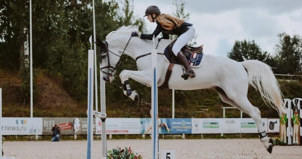 Master the Art of Horse Jumping in Eagle Creek Oregon