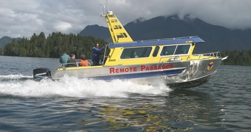Experience Tofino’s Whales & Sea Otters: A Captivating Marine Adventure in Clayoquot Sound