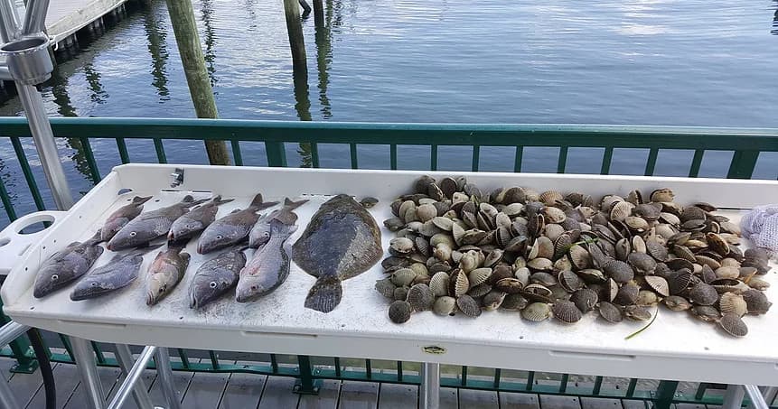 Fresh catch and clams on cleaning table at marina dock, Florida