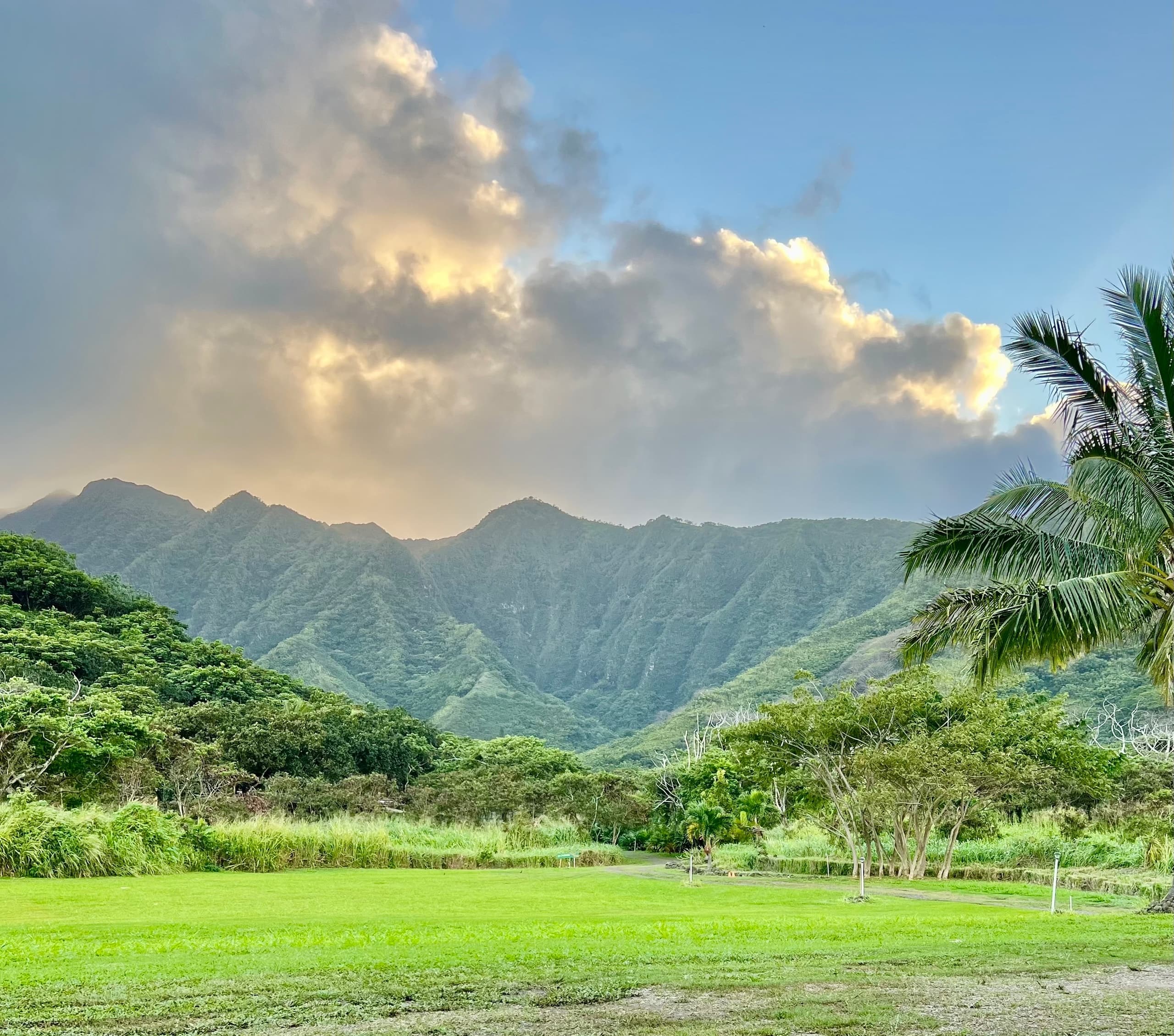 Tropical valley with palm trees and dramatic clouded peaks