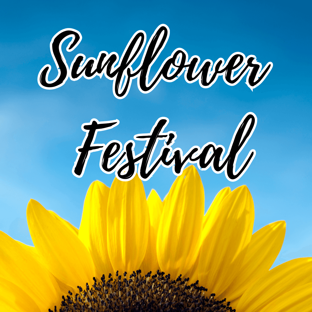 Sunflower festival poster promoting Brantwood Farms sunflower fields