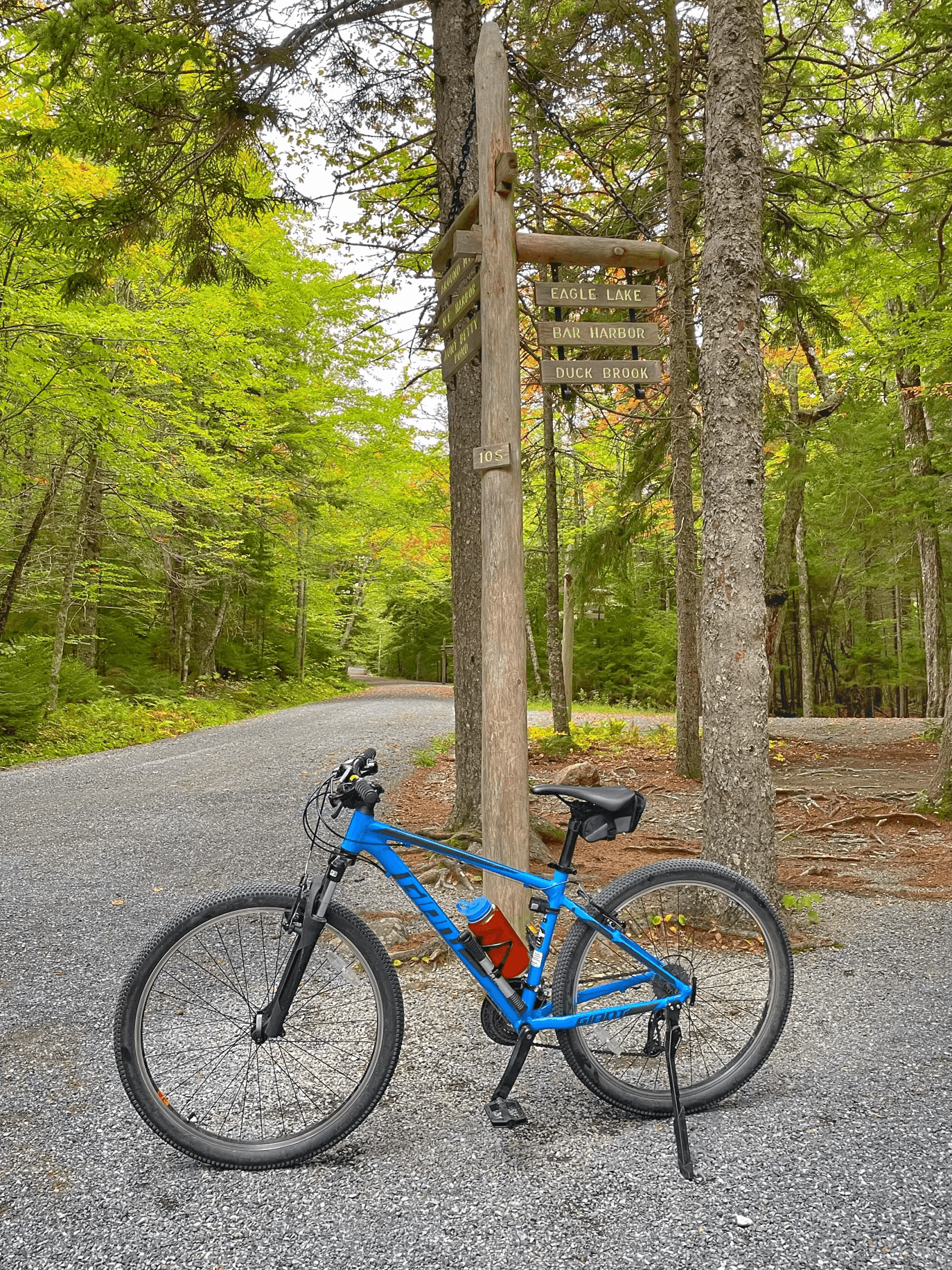 Land Adventures with Acadia Outdoor Center: One Day Bike Rental