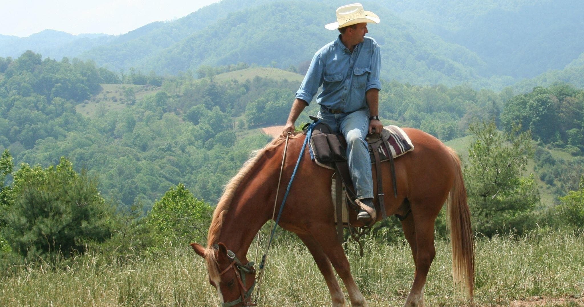 Cowboy on horseback overlooking wooded mountain valley