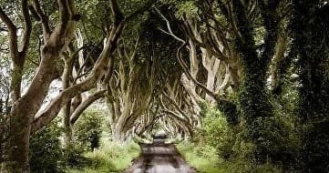 Land Adventures: Game of Thrones Tour in Northern Ireland