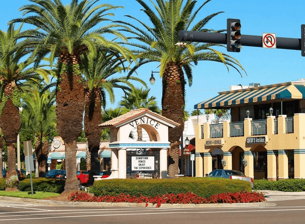 Discover Sarasota Tours fleet