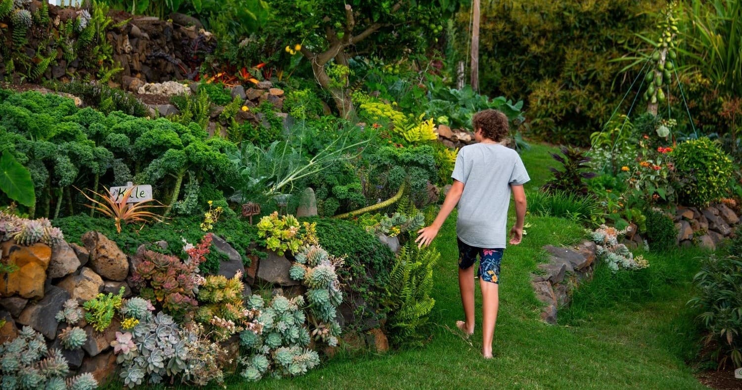 Farm Experience with Kula Pueo Farm Tours in Hawaii