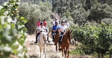 Horseback Riding in the Vineyard with Farm Experiences & Tours
