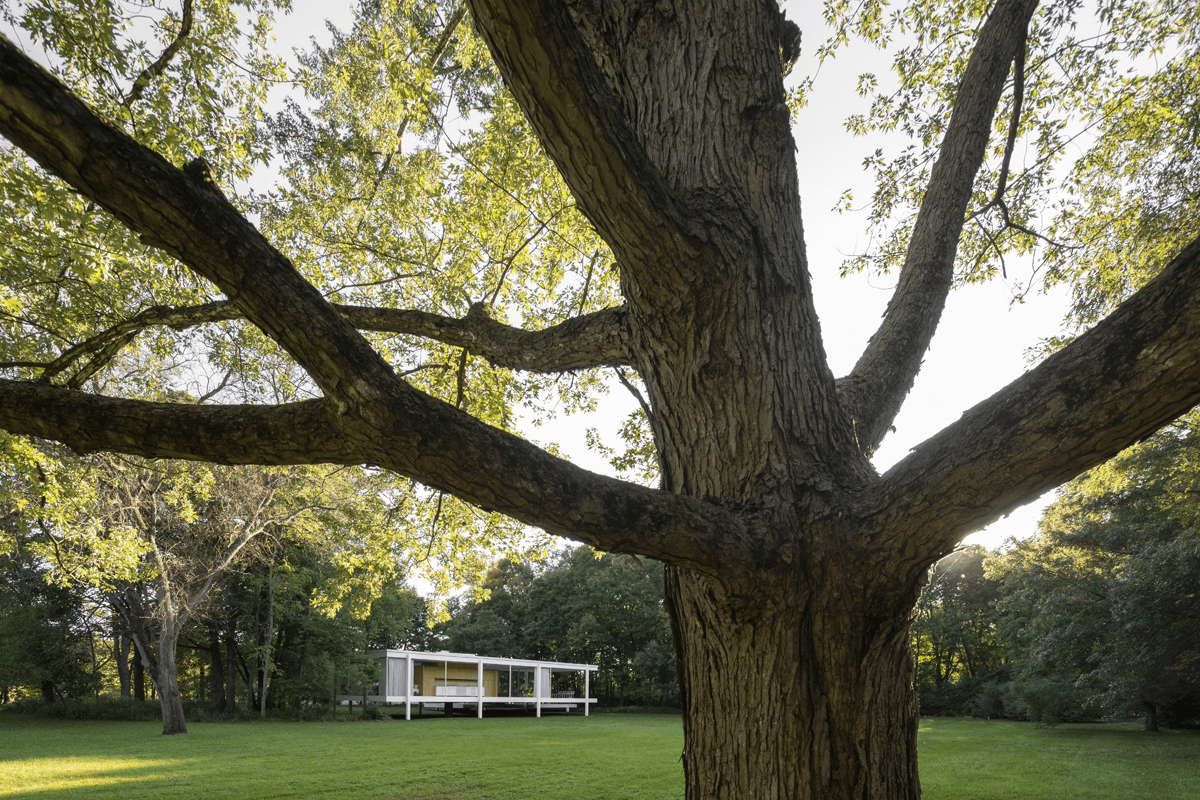Farnsworth House framed by mature oak tree on green lawn