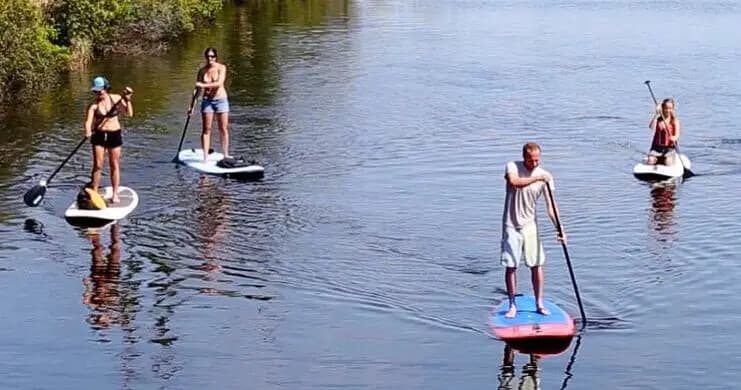 Paddle the Kitty Hawk Maritime Forest: Beginner SUP Tour on the Outer Banks