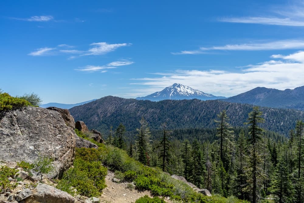 Hiker overlooking Mt. Shasta massif from forested ridge trail