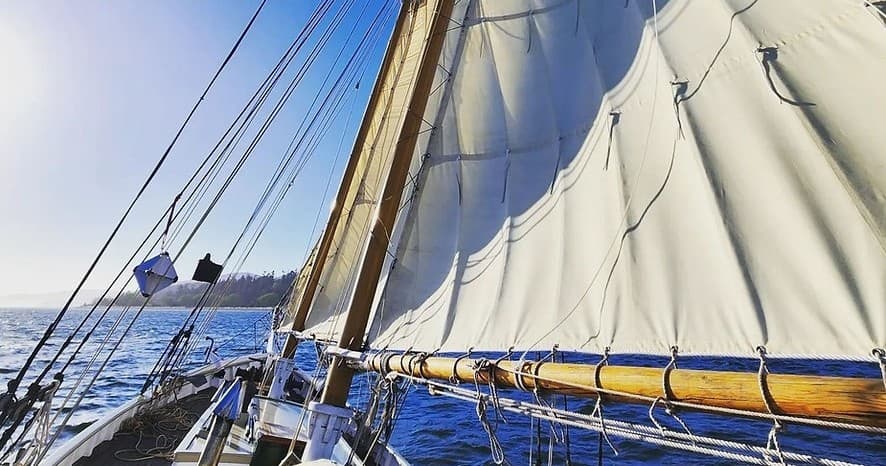 Sail Anacortes team