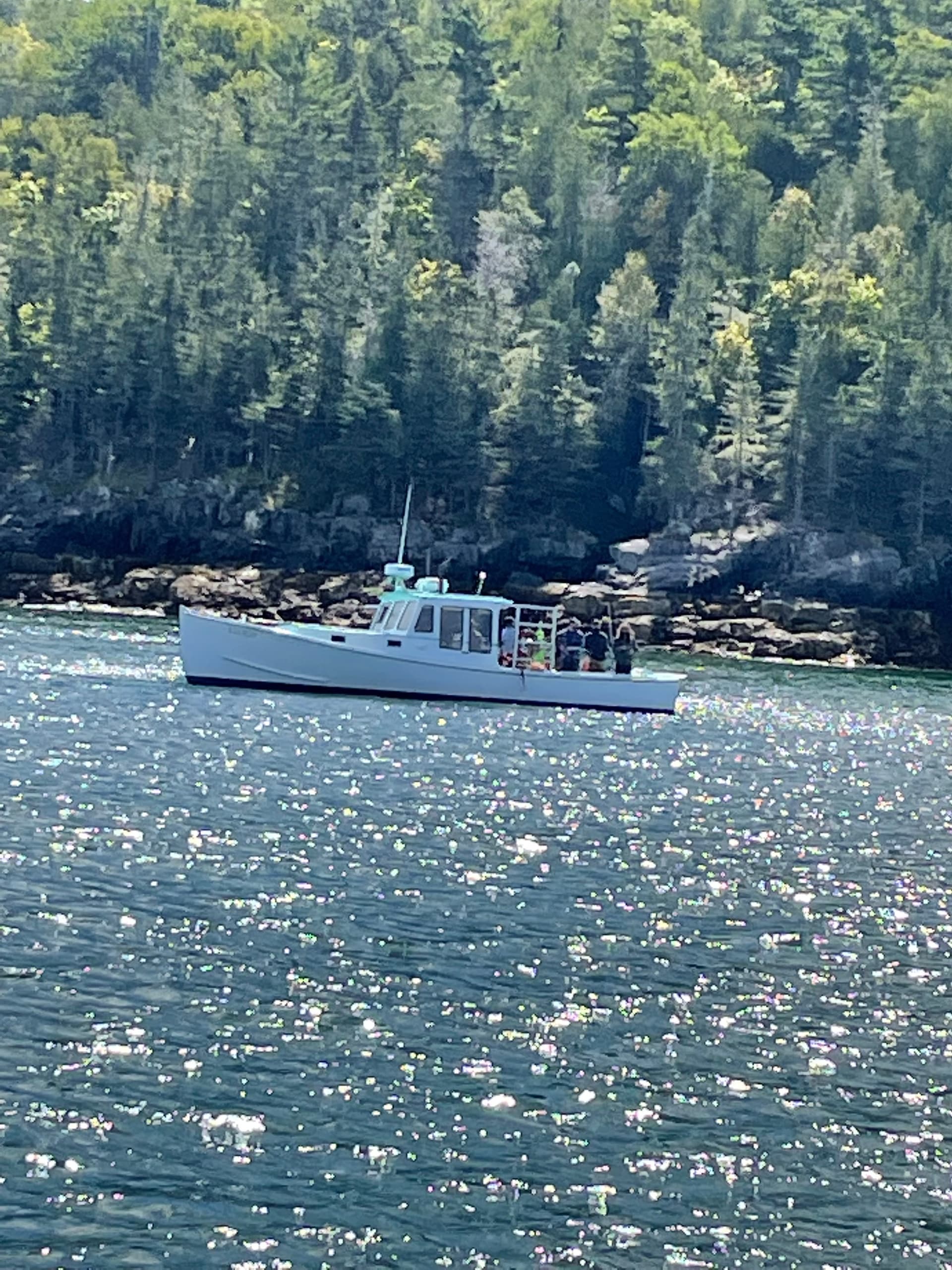Private Sightseeing Charter in Bar Harbor, Maine