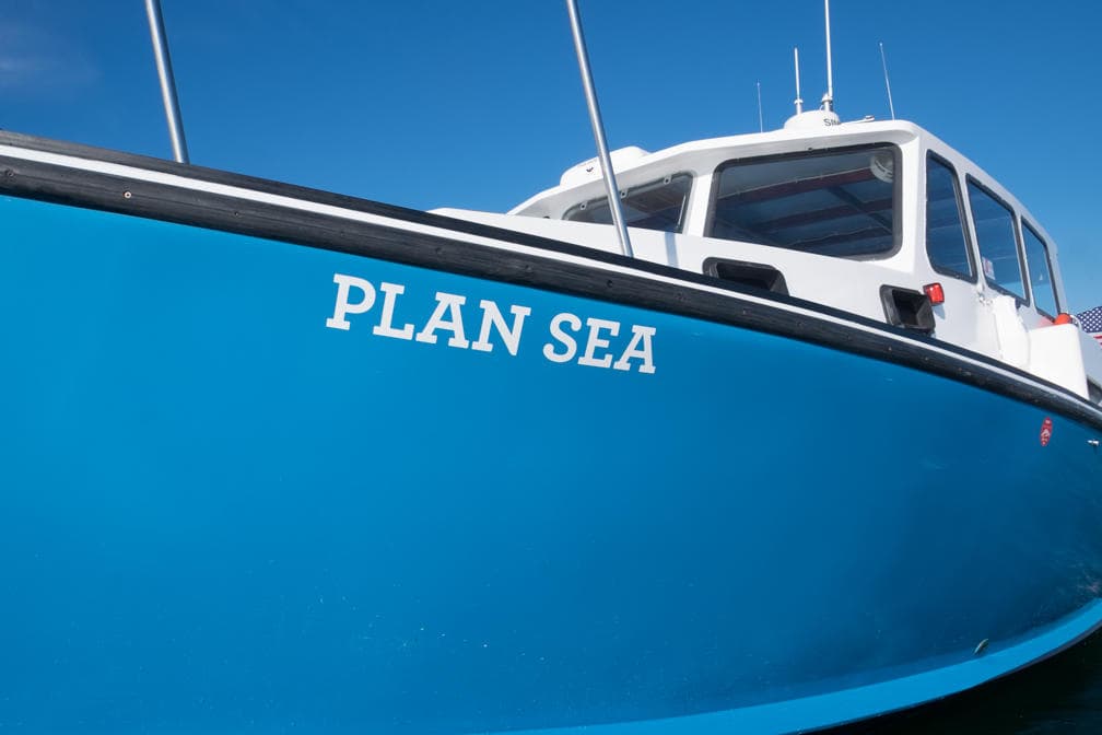 Close-up blue fishing boat hull PLAN SEA at marina dock