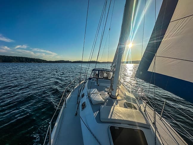 Private Day Sail and Whale-Watching in the San Juan Islands from Friday Harbor photo 3