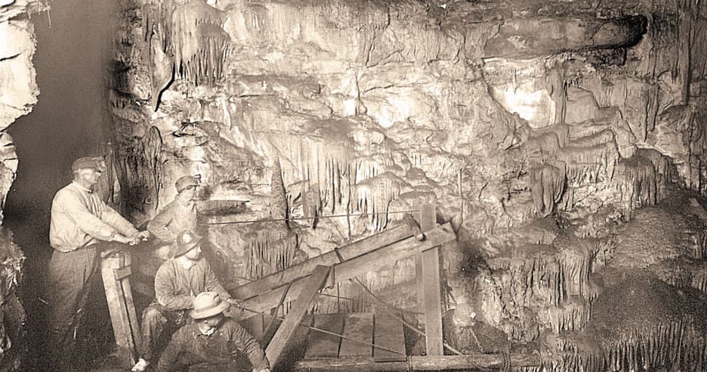 Moaning Caverns Adventure Park fleet