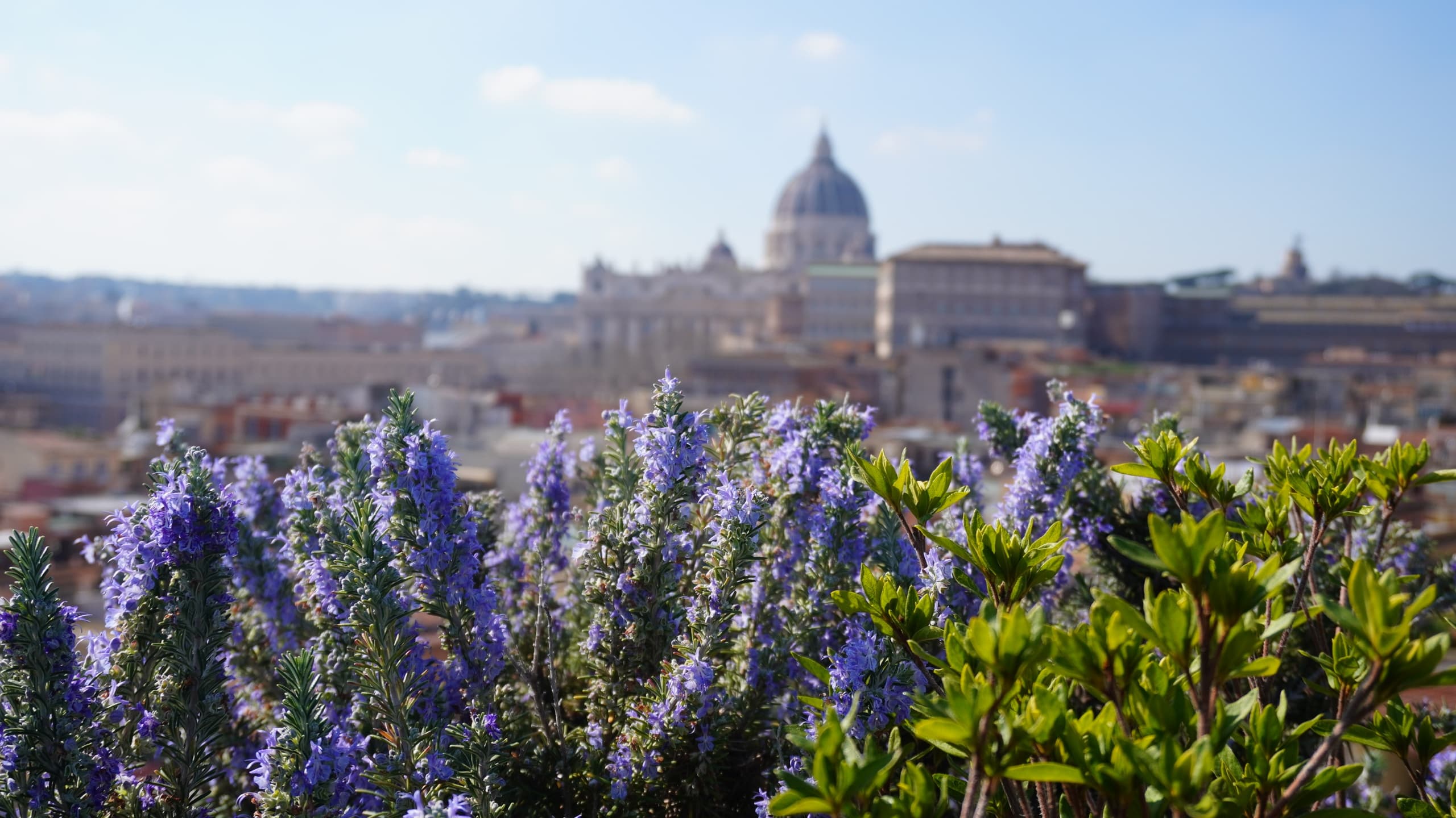 VIP Private Vatican Museums Tour: Rooftop Breakfast & Skip-the-Line Access