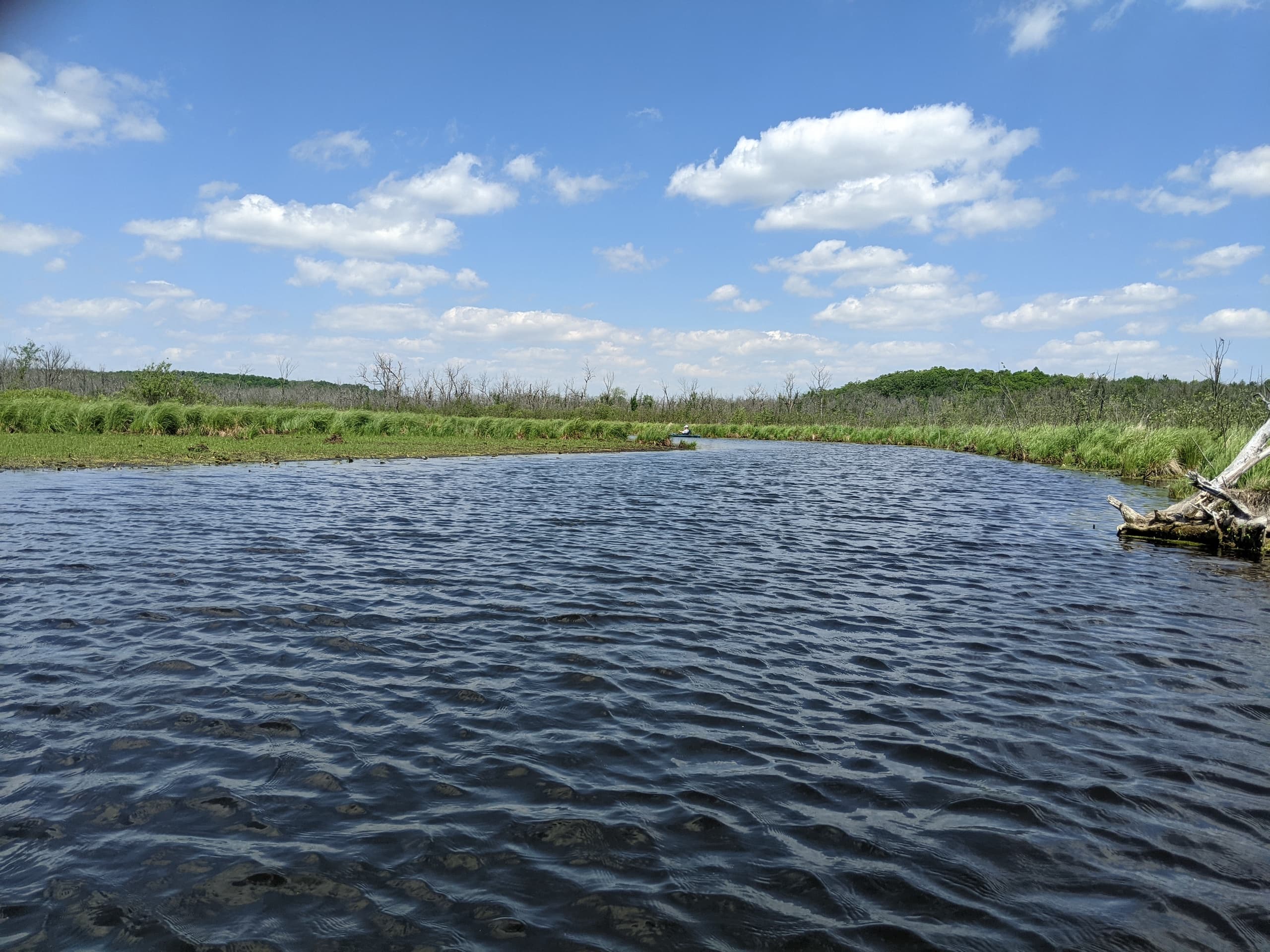 Wide river view with calm water ideal for flatwater paddling
