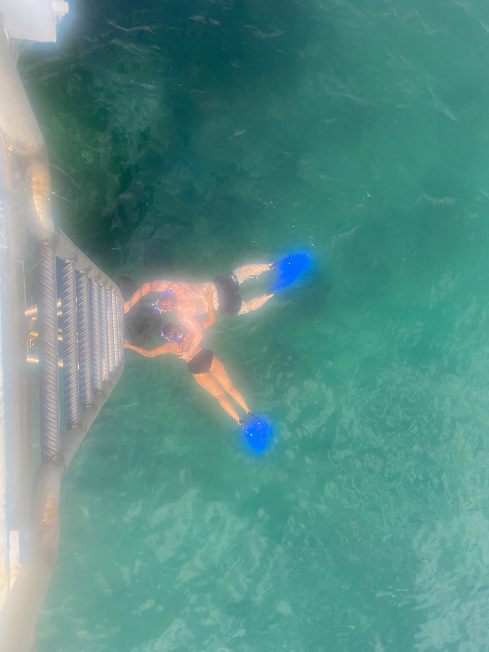 Explore Eden’s Underwater Wonders: Guided Snorkel Tour in New South Wales