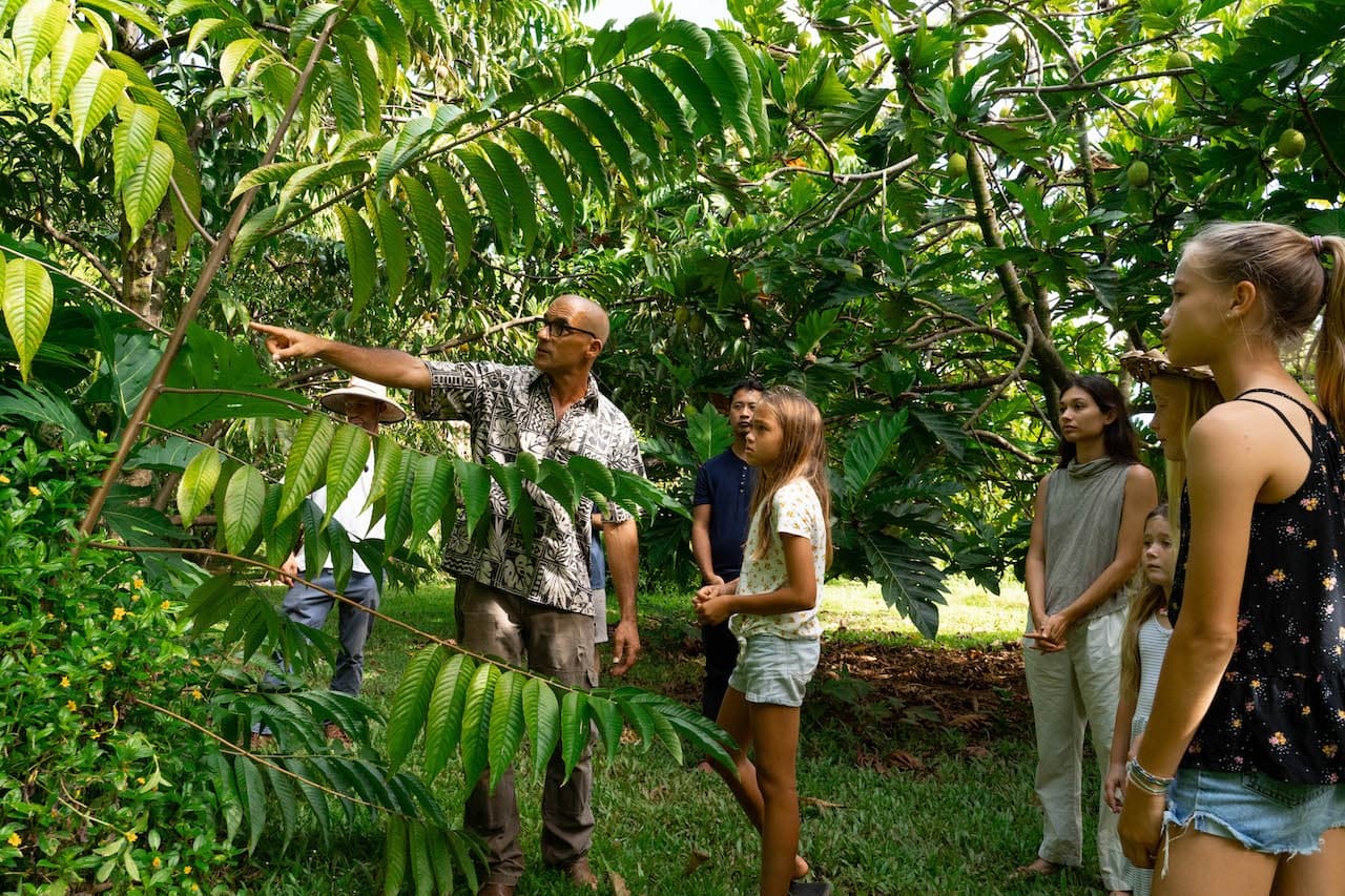 Farm & Food Experience at Common Ground Kauai