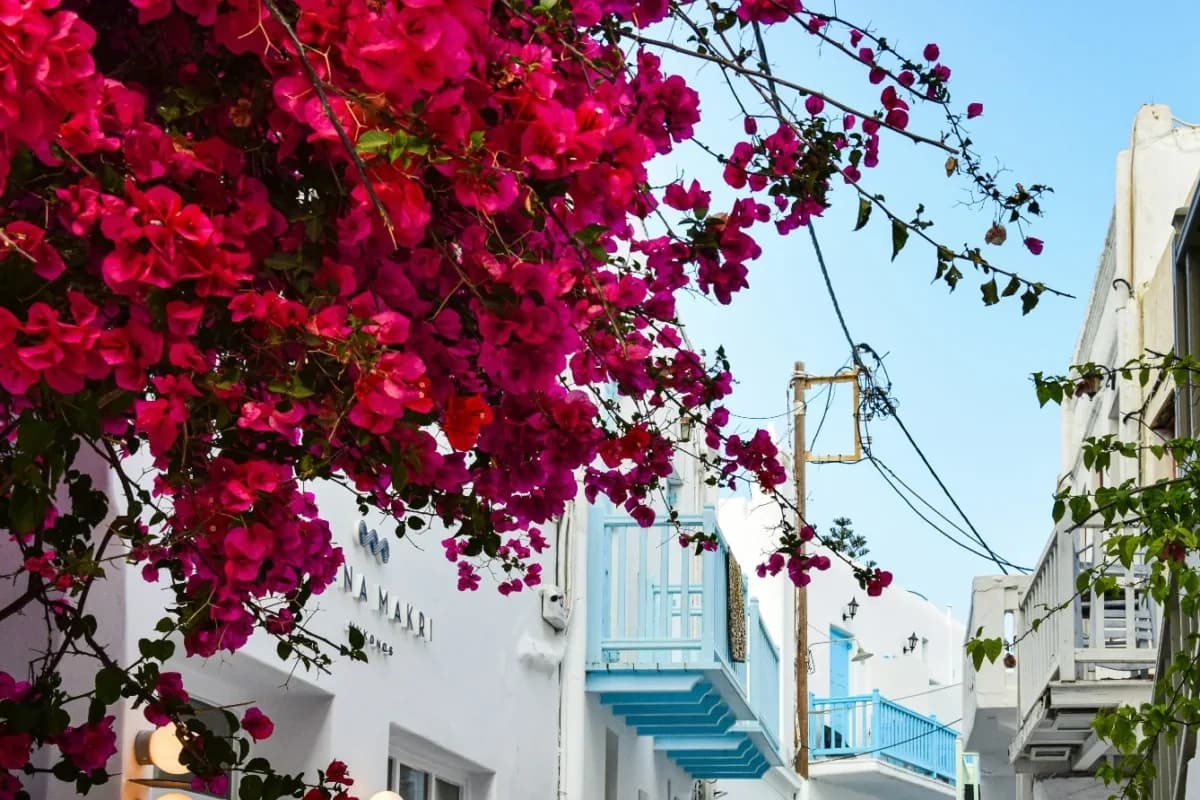 Water Activities & Nautica Marine Mykonos: Island Boat Tour Guide
