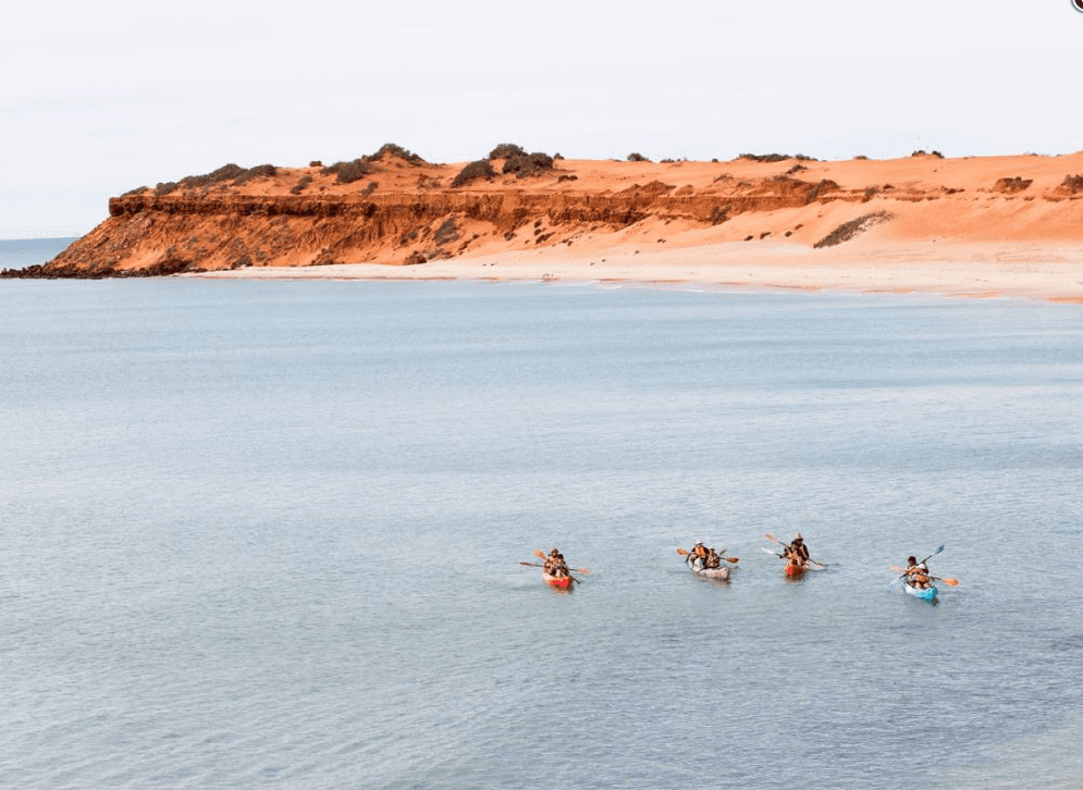 Sea kayakers paddling near red sandstone headland at coastline
