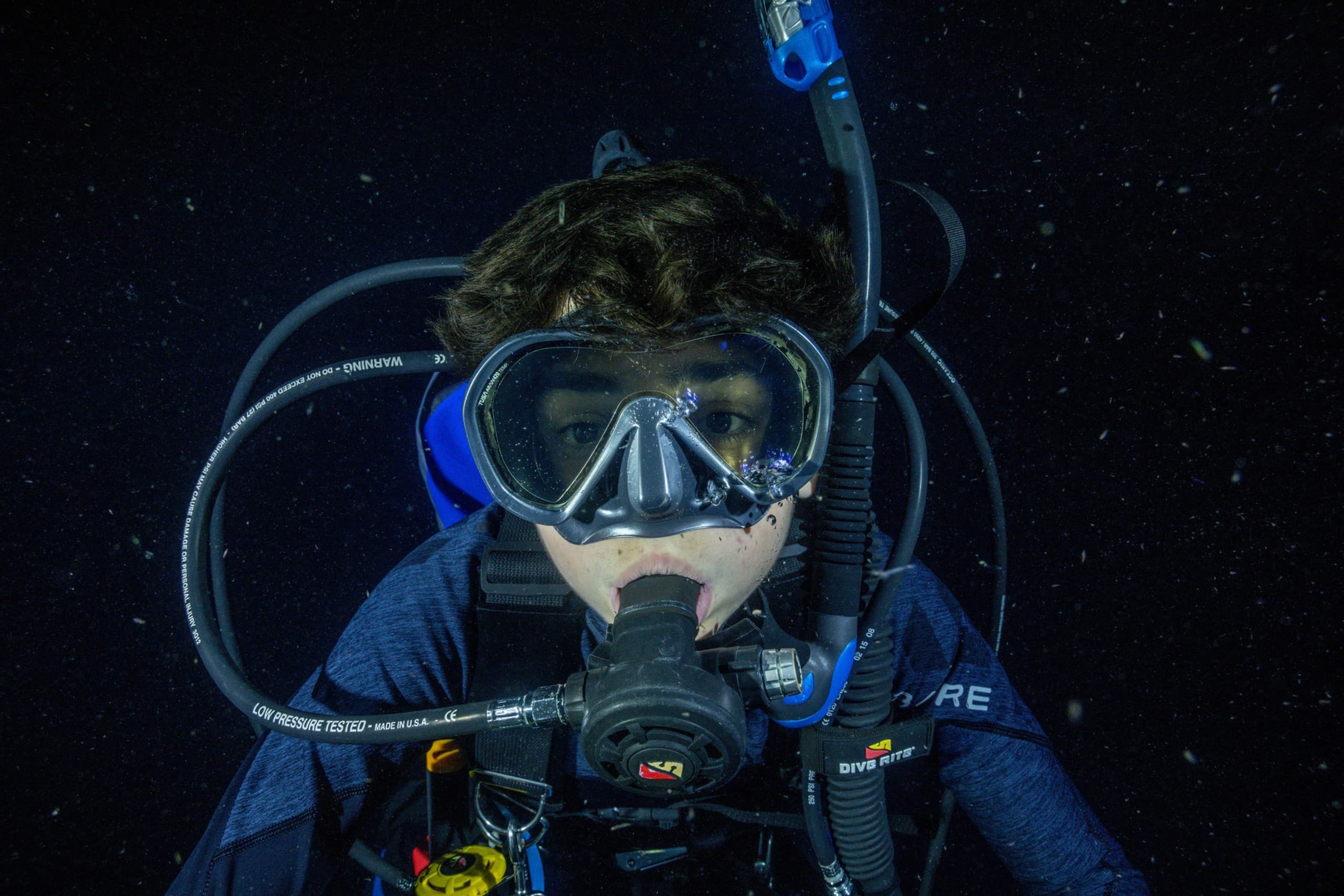 Night & Low-Visibility Shore Diving in Port Stephens — SDI Specialty Course