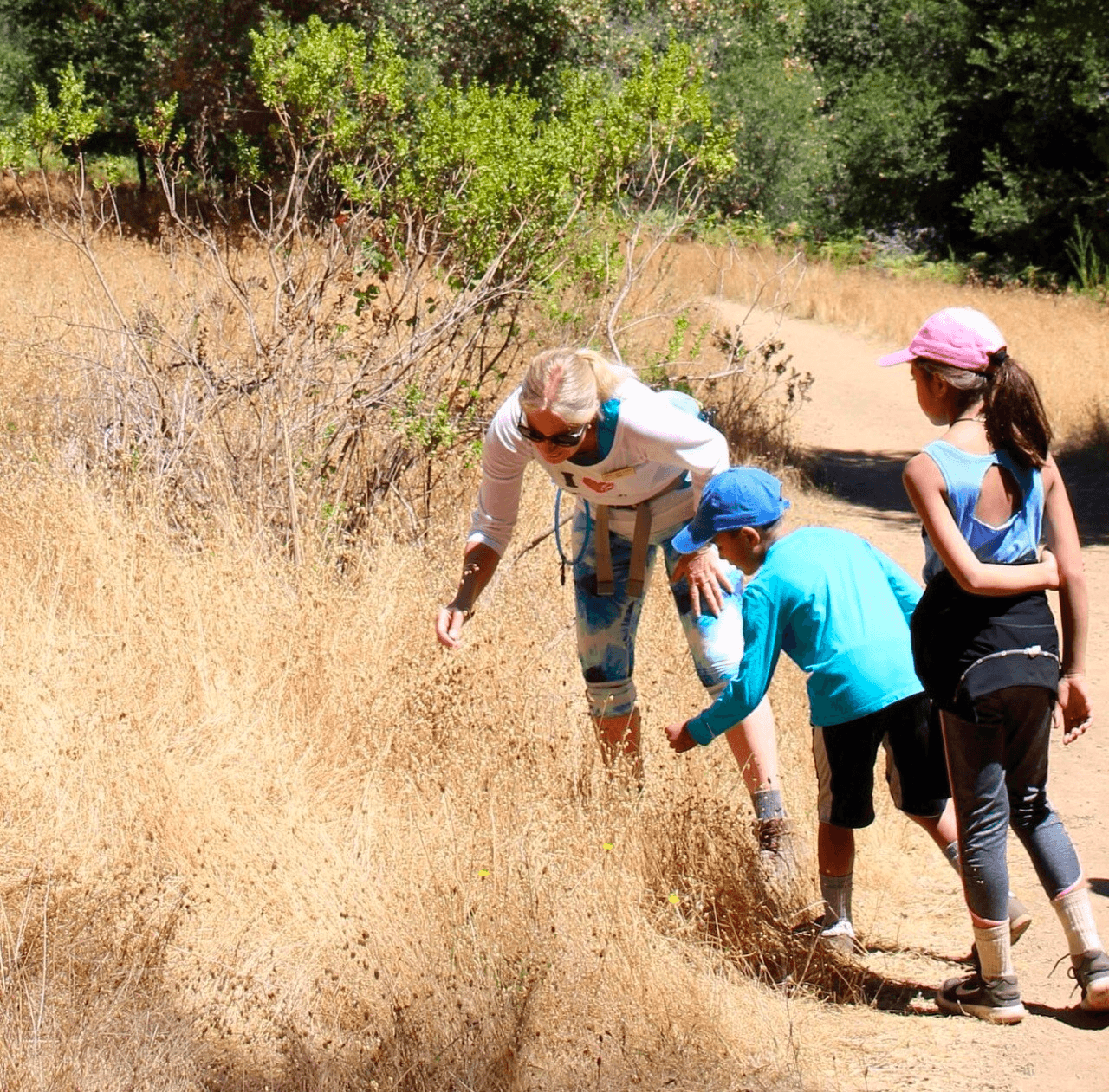 Family Adventure & Forest Treasure Hunt with Big Sur Guided Tours