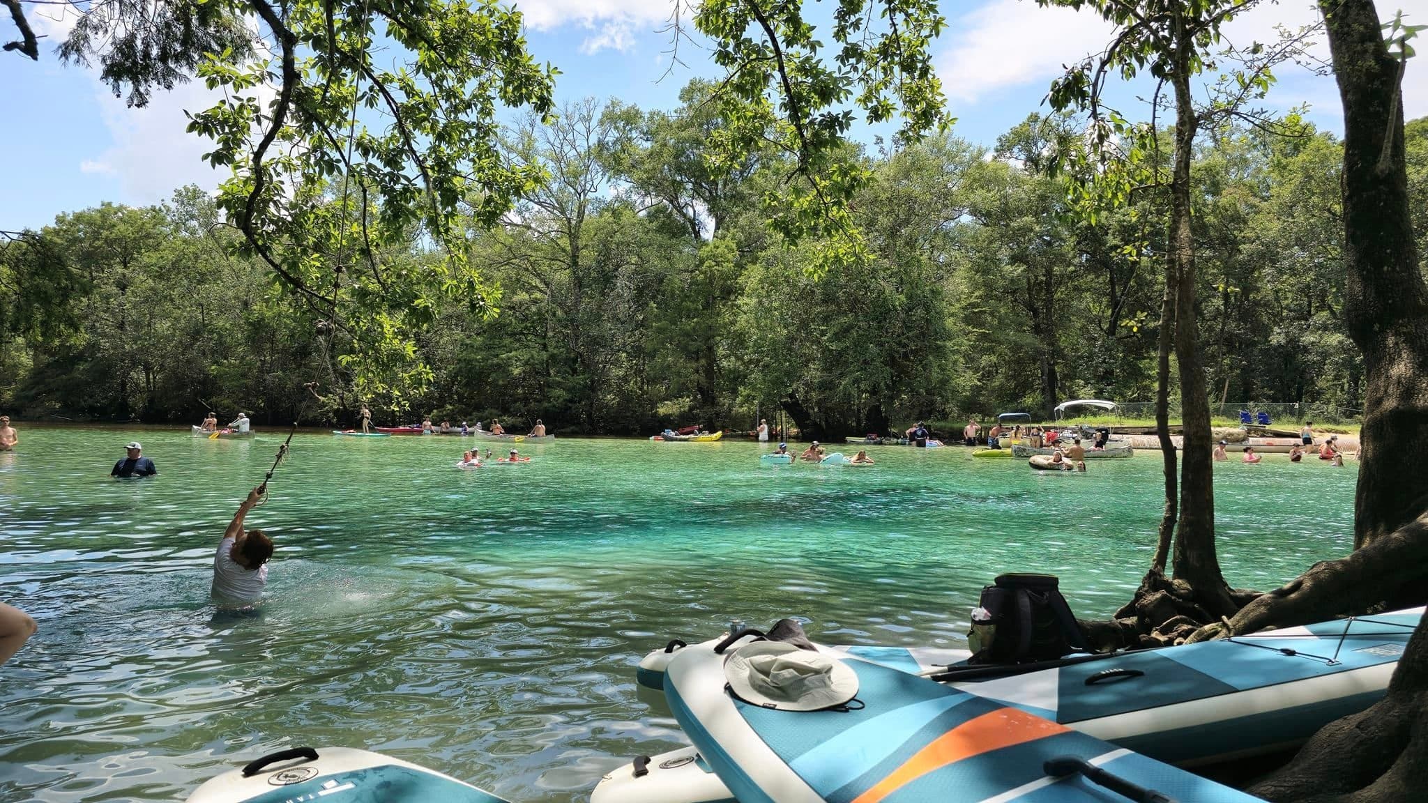 Water Activities & Cypress Springs Paddle Board Tour by The Adventure Collective