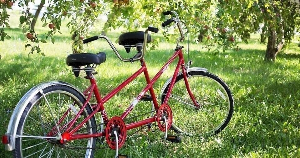 Tandem Bike Adventures with Ray's Rentals in Venice