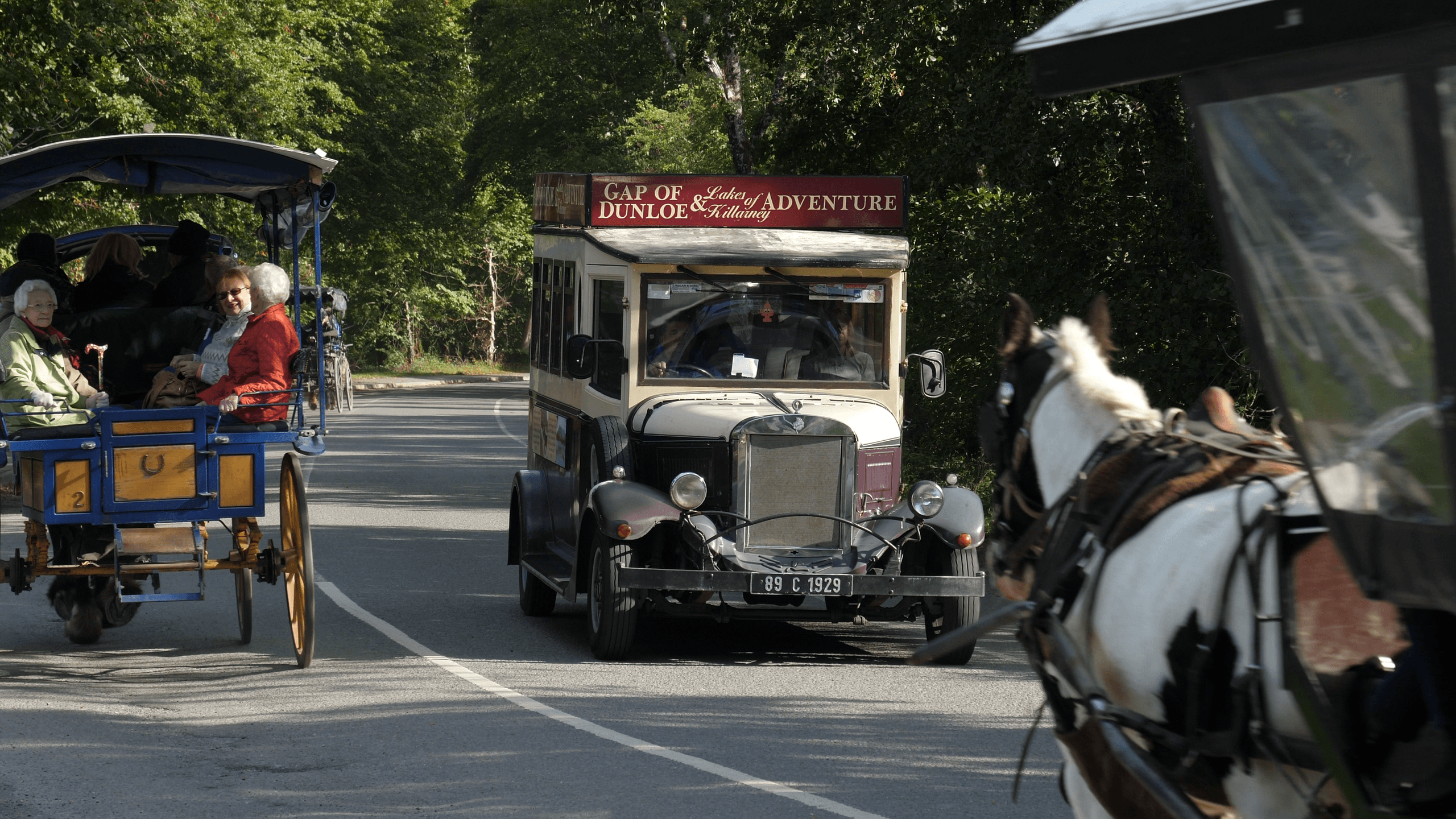 Bus & Boat Tour in Killarney with Gap of Dunloe Tours