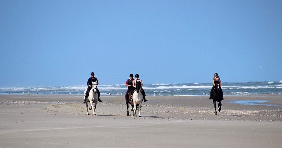 Huifkarbedrijf Terpstra fleet