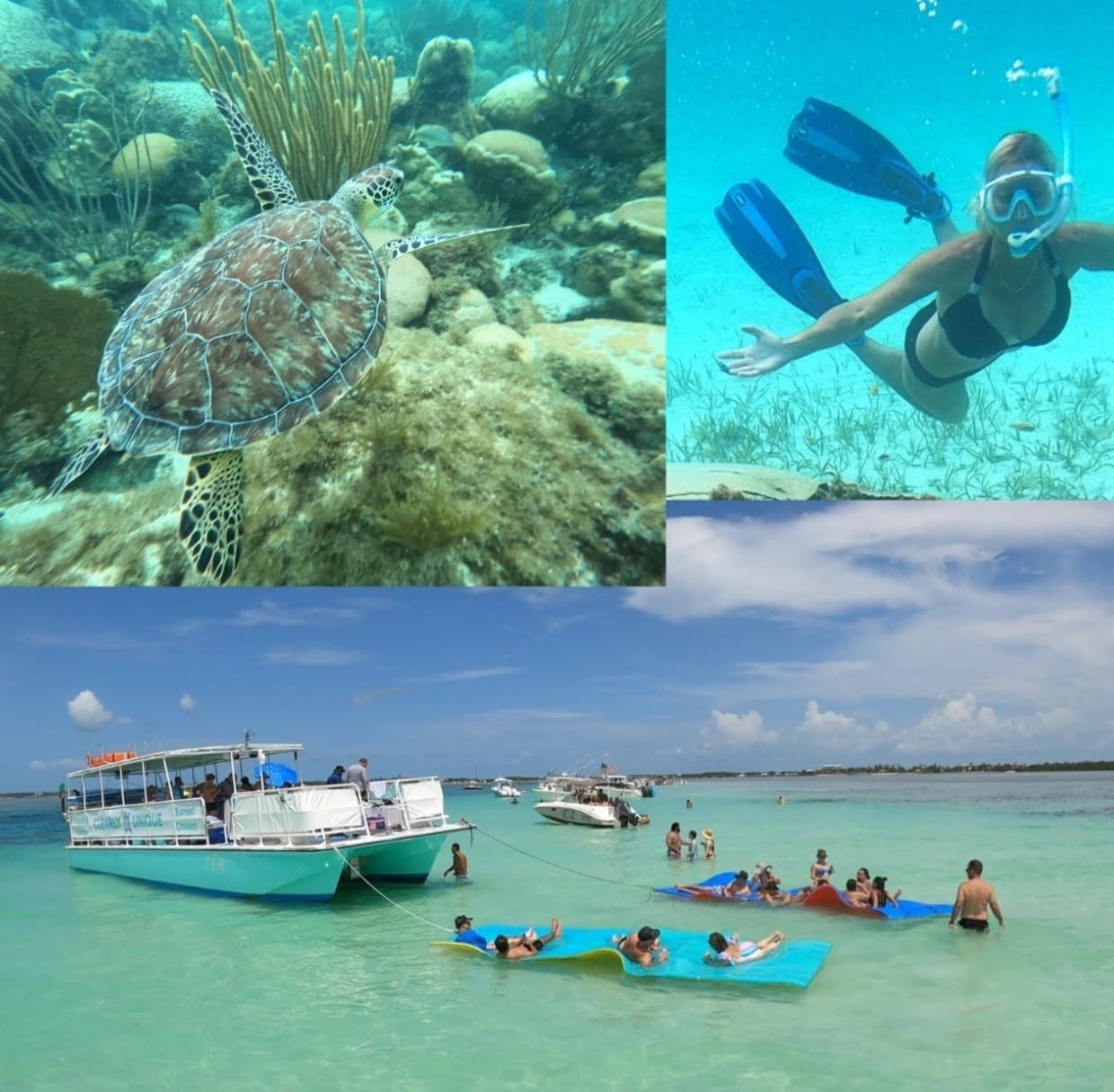 Islamorada Sandbar & Snorkel Combo: Half-Day Reef Adventure in the Florida Keys