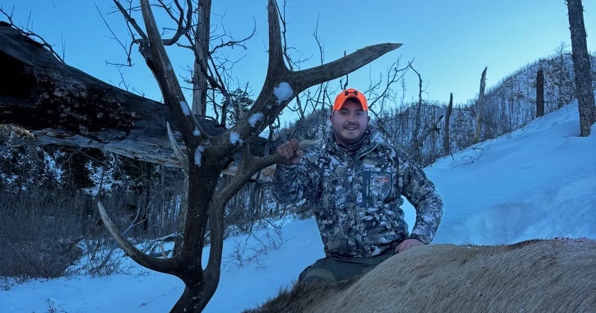 Epic Elk Hunting Adventure in the Sangre de Cristo Mountains near Westcliffe, Colorado