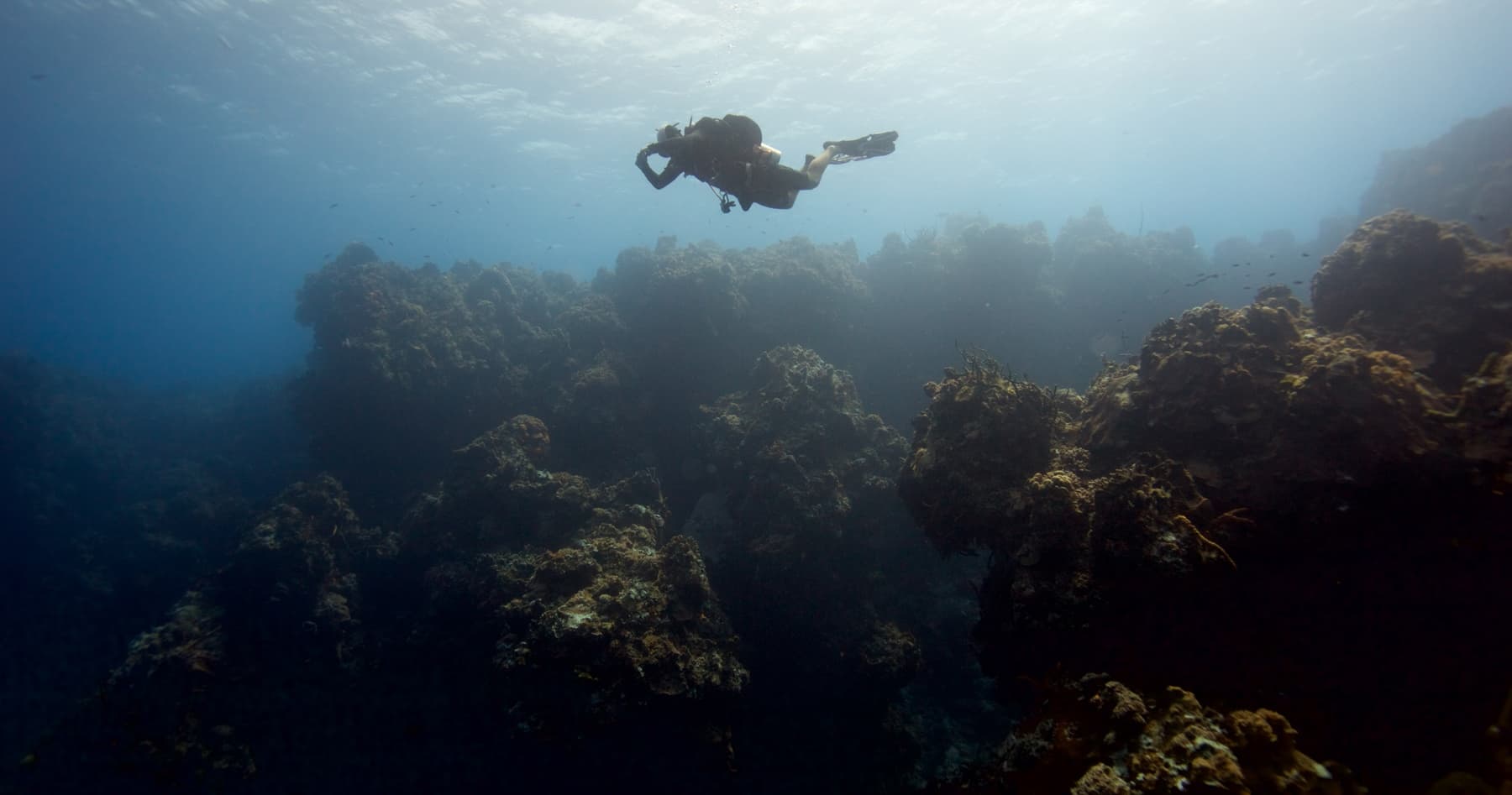 Two-Tank Cozumel Reef Dives: Santa Rosa Wall & Palancar Morning Adventure