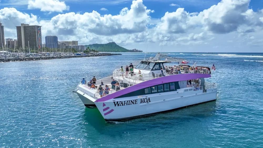 Oahu Whale Watching Adventure: Waikiki Catamaran Humpback Cruises (Dec 15–Apr 15) photo 1