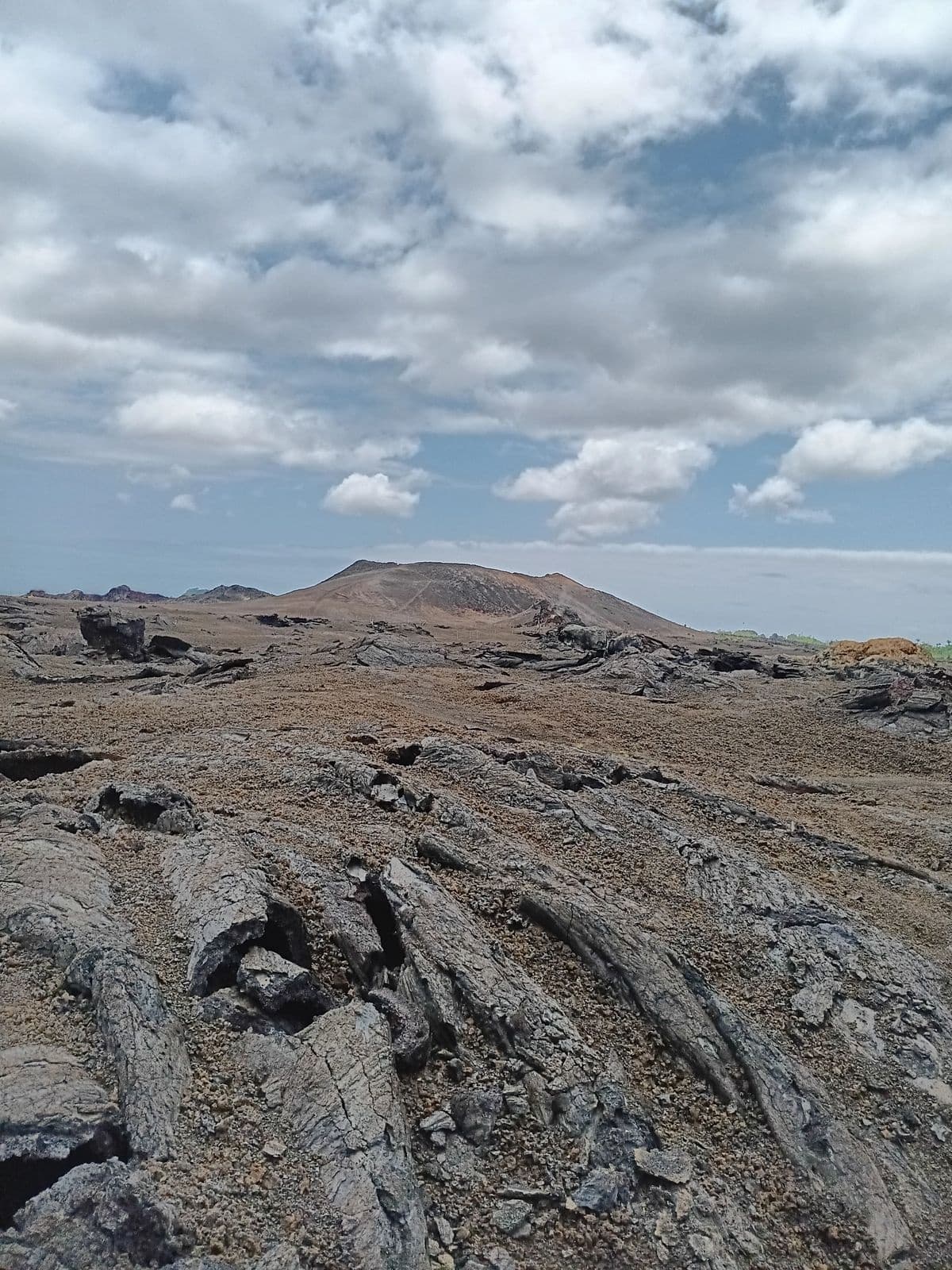 Wildlife & Wilderness in Hawaii with Hawaii Volcano Tours