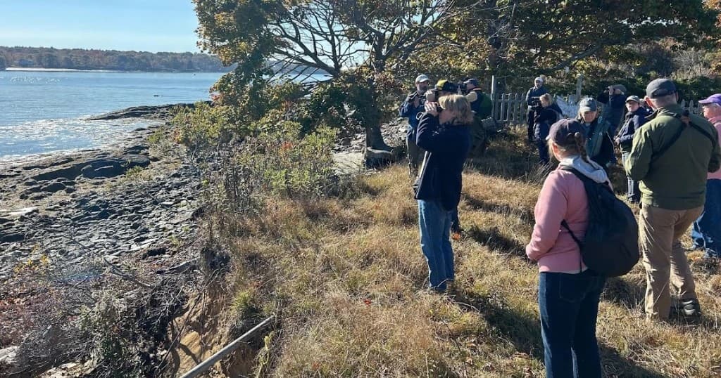 Coastal group hike following trail with ocean views in Maine