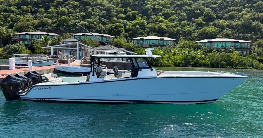 Virgin Islands Luxury Catamaran Charter with Palm Tree Charters