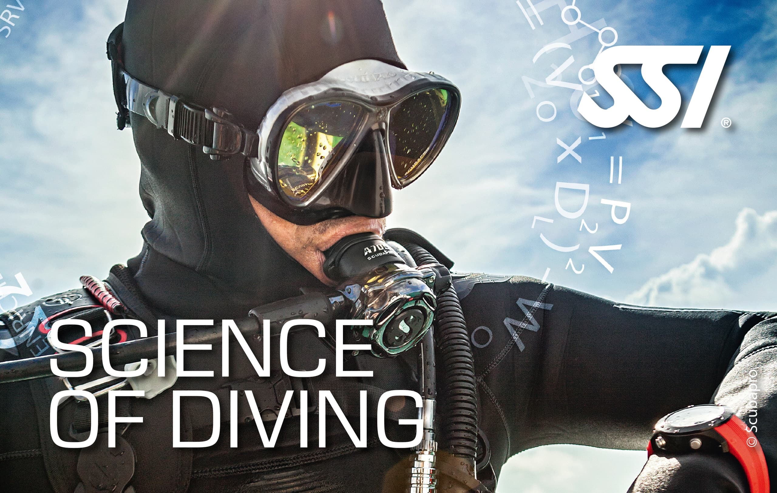 Science of Diving Certification with Paragon Diving in Big Pine Key