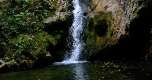 Waterfall Hike & Swim in Bayamon with Tours your way PR