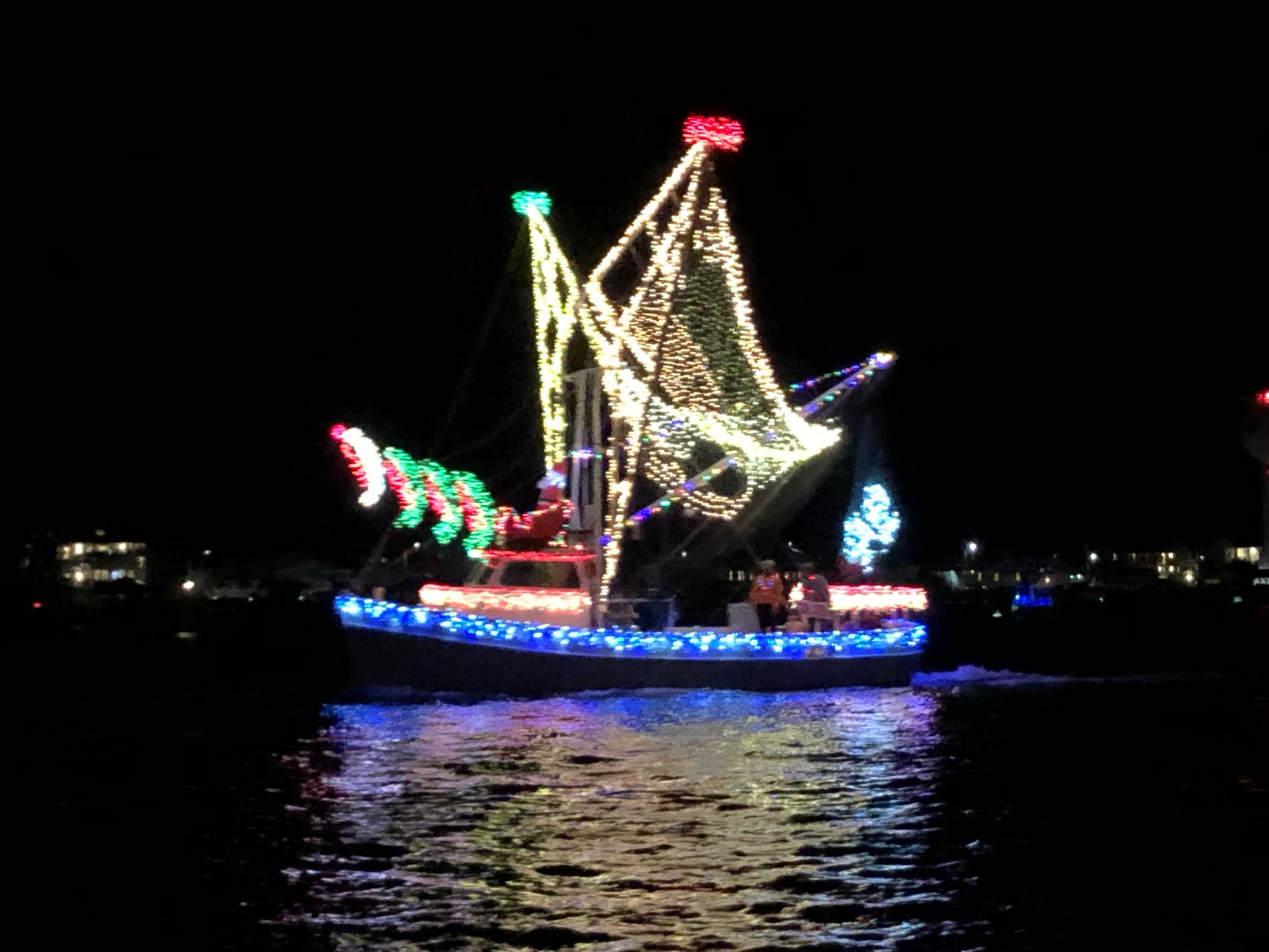 Holiday-lit tour boat on water at night, festive light display
