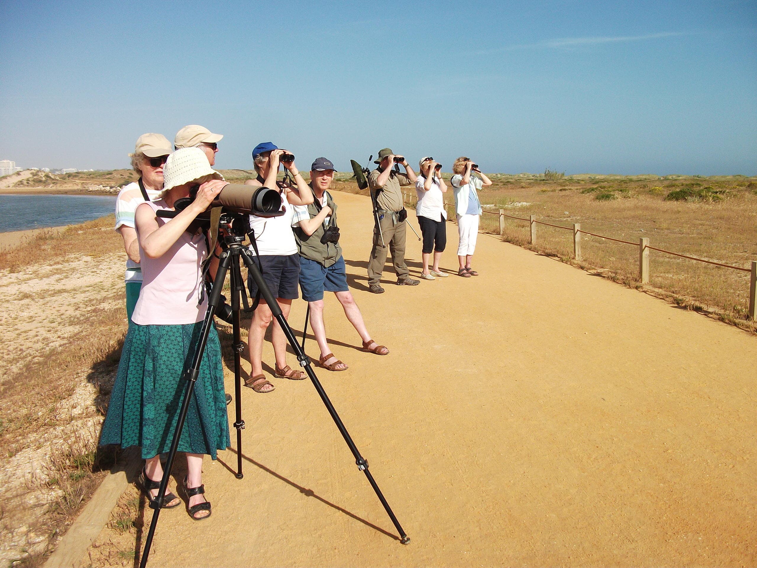 Birdwatching & Beach Days with A Rocha Life in Portimão