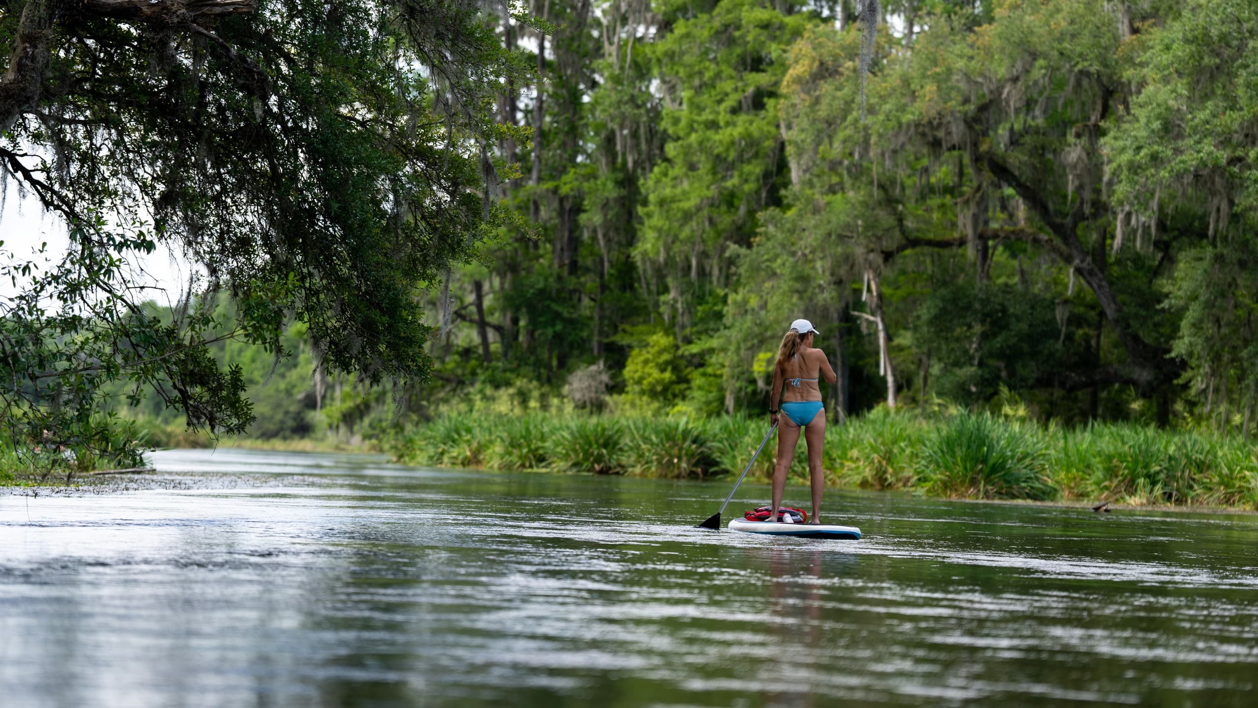 Water Activities at Dampier's Landing Paddle in Ichetucknee Springs