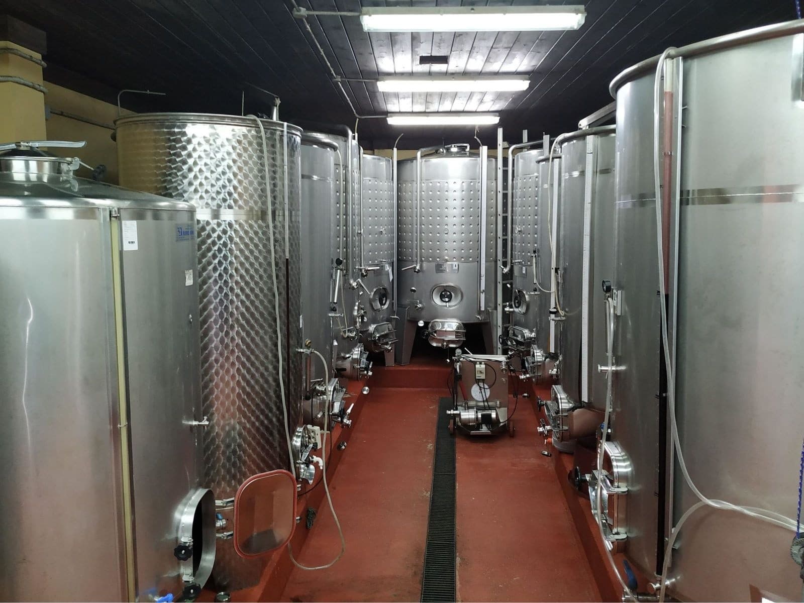 Bodega Lagar do Cigur: Cave-to-Glass Wine Tasting in Galicia photo 2