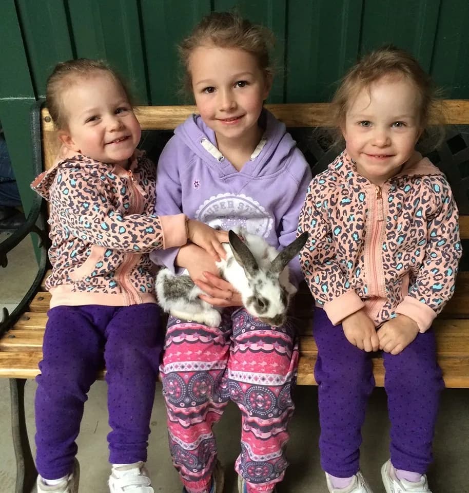 Wildlife & Family Fun at Wings Wildlife Park