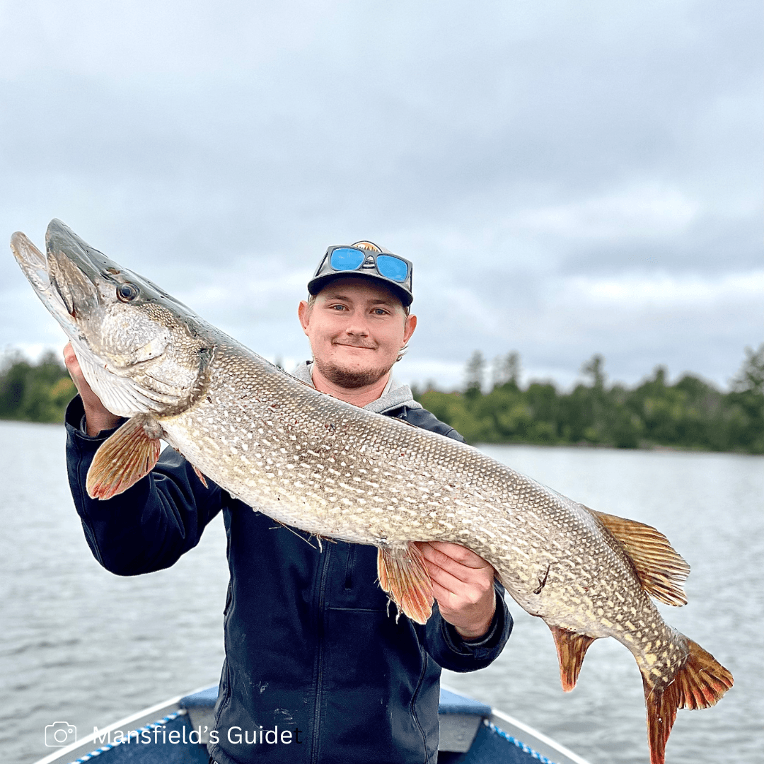 Farm Lake Fishing Basics at Timber Trail Lodge