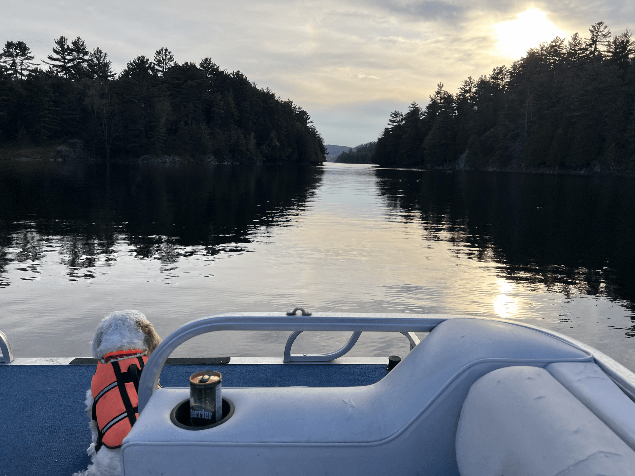 Pontoon boat cruising past pine-lined lake at golden hour