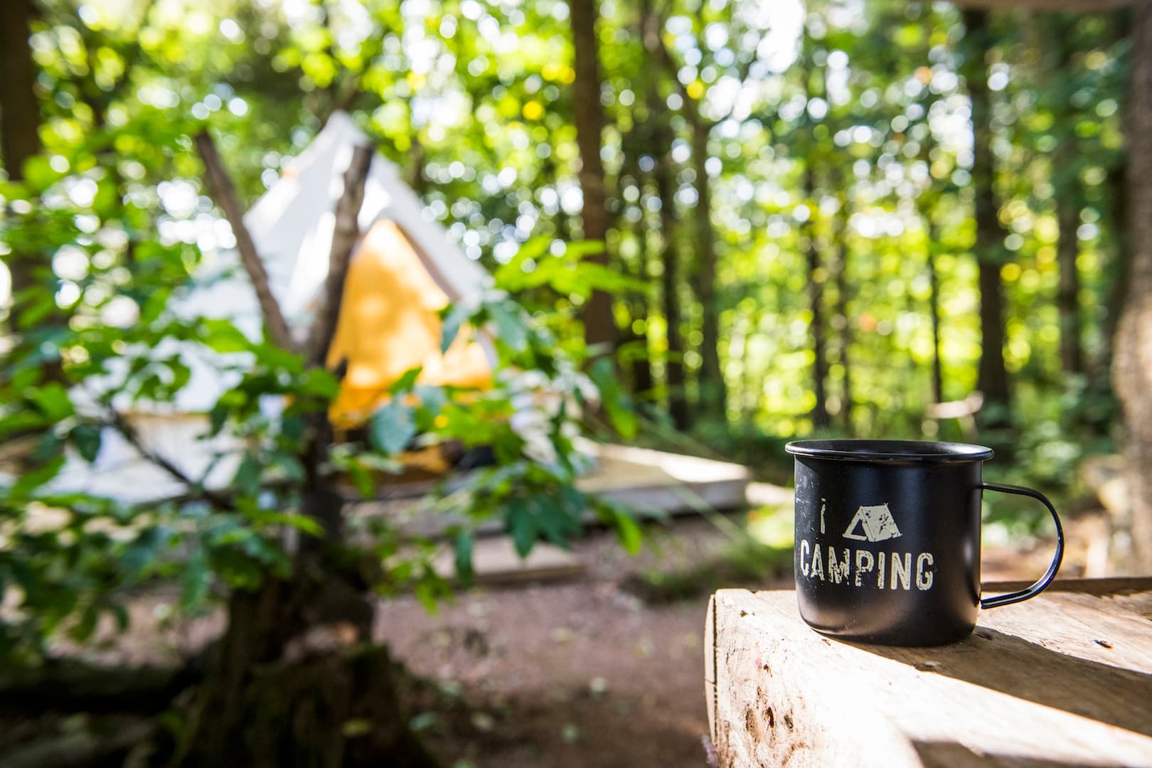 Woodland Wild Camping and Bell Tents near Newquay