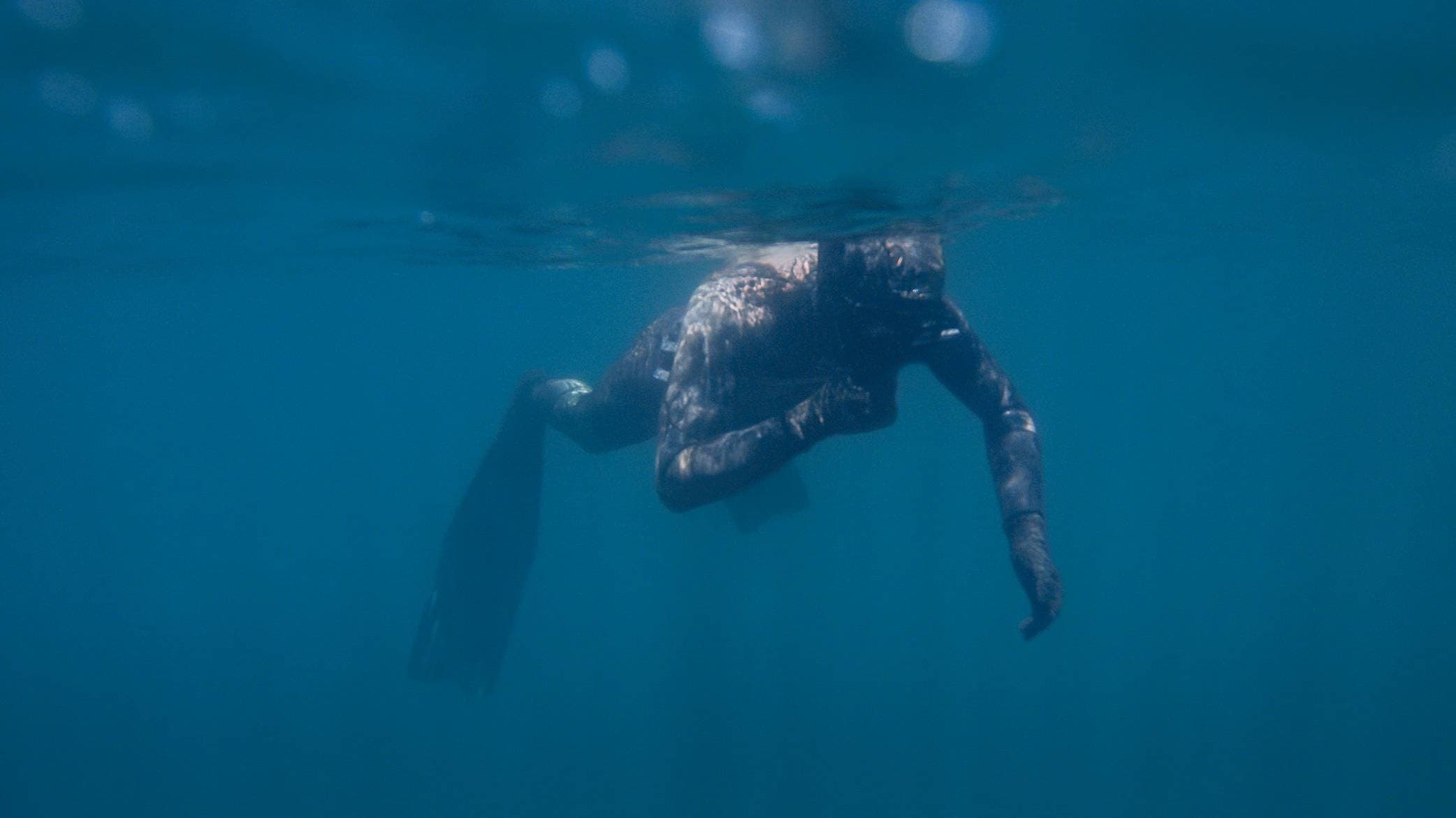 Snorkelling Adventures with Le Port Surf & Adventure in Jersey